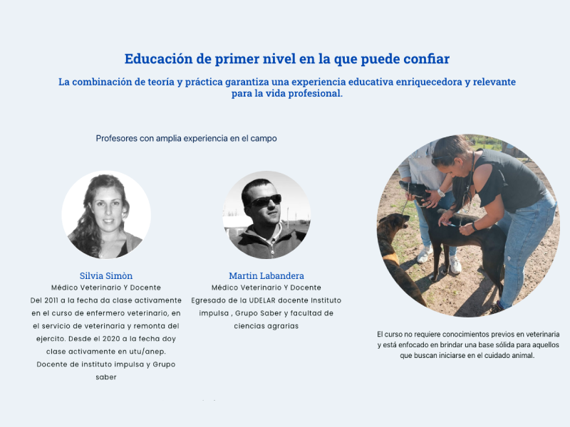 Relevamiento y arquitectura de contenidos para institución educativa
